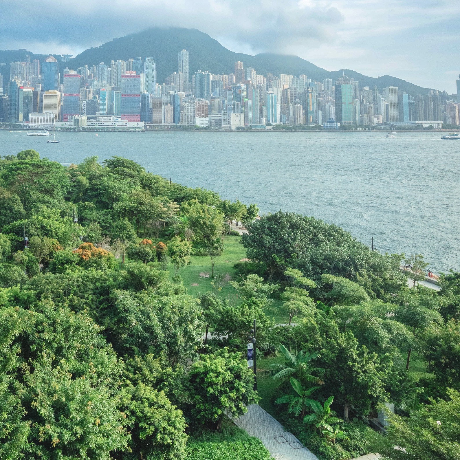 West Kowloon Cultural District Hong KOng Things To Do M+ Museum Palace Museum Ozone