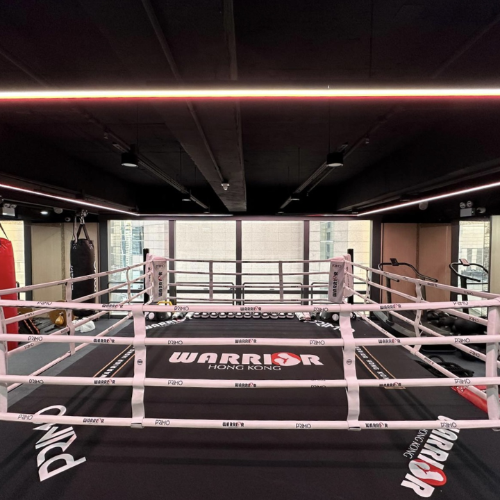 Boxing Classes & Gyms Warrior Hong Kong Boxing Muay Thai