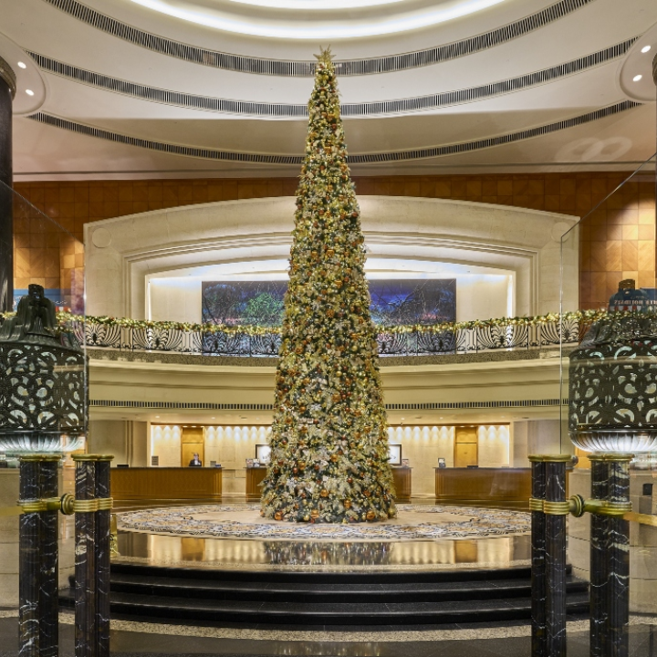 best hong kong hotels hotel staycation offers packages Christmas 2025 grand hyatt hong kong