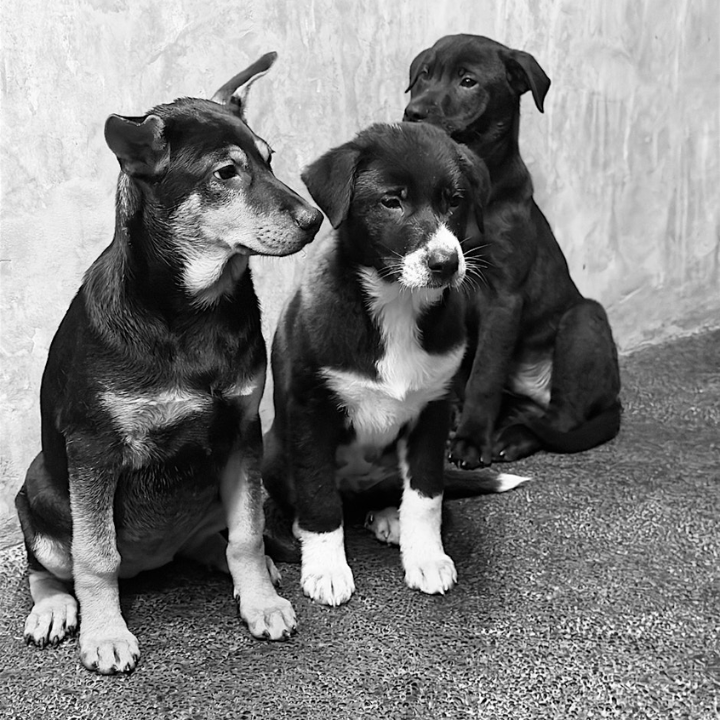 What's On Hong Kong January One PT Hyrox Training